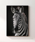 Quadro Decorativo A Zebra