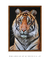 Quadro Decorativo O Tigre - comprar online