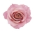 Shampoo Eudora Siàge Nutri Rosé 250ml - comprar online