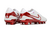 Imagen de Nike Tiempo Legend 10 Elite