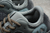 Imagen de Adidas Yeezy boost 700 “Teal Blue”