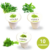 COMBINADO 2 - Capsulas de cultivo express - (Rúcula + Albahaca + Perejil) - comprar online