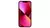 iPhone 13 en internet