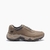 Zapatillas Detours Low Caterpillar