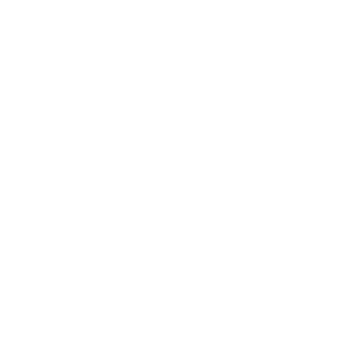 El Mercado de Zapatos