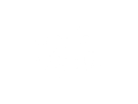 Garota eXpert