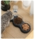 Tigela para gato de estimação alimentador automático 3 em 1 na internet