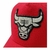 Red Chicago Bulls