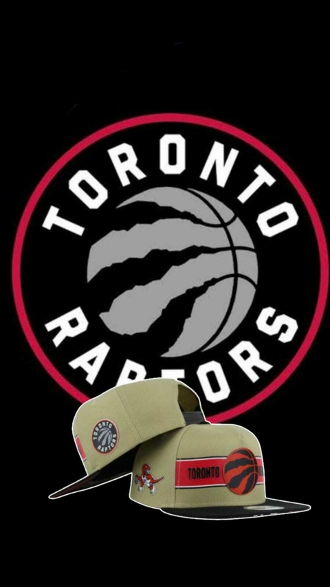 Toronto Raptors Arena - comprar online