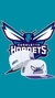 Charlotte Hornets White - comprar online