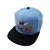 Charlotte Hornets Traditional NBA en internet