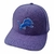 Lions Cerrada NFL en internet