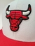 Chicago Bulls Panel Combinado - comprar online