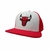 Chicago Bulls Panel Combinado en internet