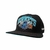 CHARLOTTE HORNETS en internet