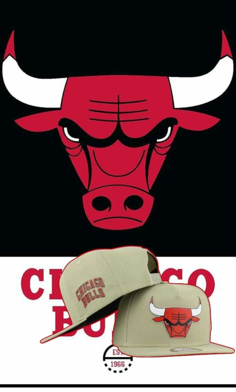 Chicago Bulls Desert Select