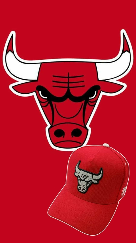 Red Chicago Bulls - comprar online