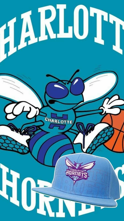 Gorra Cerrada Charlotte Hornets 7 3/8