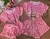 Kit Pijama Mãe e Filha Babadinho - www.chickosabrasilpijamas.com
