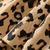 Conjunto de 2 peças com estampa de desenhos animados e saia leopardo