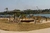 Calçadão da Asa Norte - comprar online