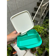 KIT TUPPER DRINK + BASIC LINE C/ DIV VERDE na internet