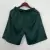 Calção Palmeiras II - Verde 23/24 - comprar online