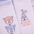 Kit Fralda Soft Bordada e Estampada 5 Unidades - Raposinha - comprar online