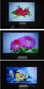 Salange-YG300 Mini Projetor LED, Home Media Player, Beamer, Versão Atualizada, - dvmmultimarcas