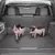 Imagem do Cerca de porta-malas de carro, rede protetora de isolamento para cães de estima