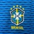 Camisa Seleção Brasileira: Mostre sua paixão pelo Brasil! Design moderno e cheio de orgulho. Garanta já a sua!