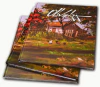 Livro Cores e Alma - Cido Oliveira. - comprar online