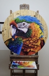 Arara na madeira 100x100cm