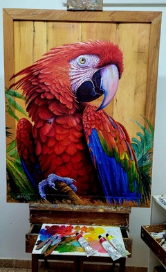 Arara Vermelha 115x90