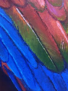 Arara Vermelha 115x90 - Artista Cido Oliveira