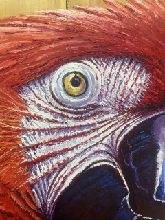 Arara Vermelha 115x90 - comprar online