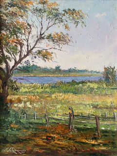 Dia de Descanso 40x30