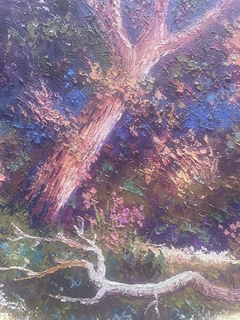 Serenidade no Campo 70x80 - Artista Cido Oliveira