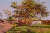 cena rural 40x60