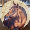Cavalo na demolição 100x100