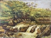 Simples Natureza 60x80
