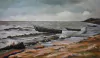 Mar de Inverno 62x100