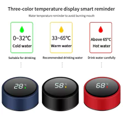 Garrafa Térmica Com LED Stanley 500ML Inox Água Cerveja Café Display Digital - comprar online