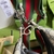 Imagem do BOLSA GG ATTACHE 702823