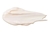 Creme Hidratante Facial 5 em 1 Neo Dermo Multi Effect Collection 50g - comprar online