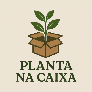 Planta na caixa