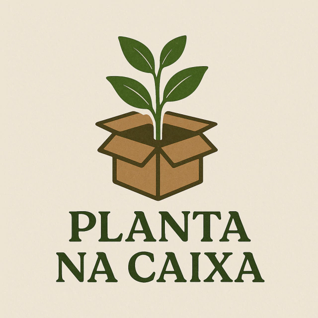 Planta na caixa
