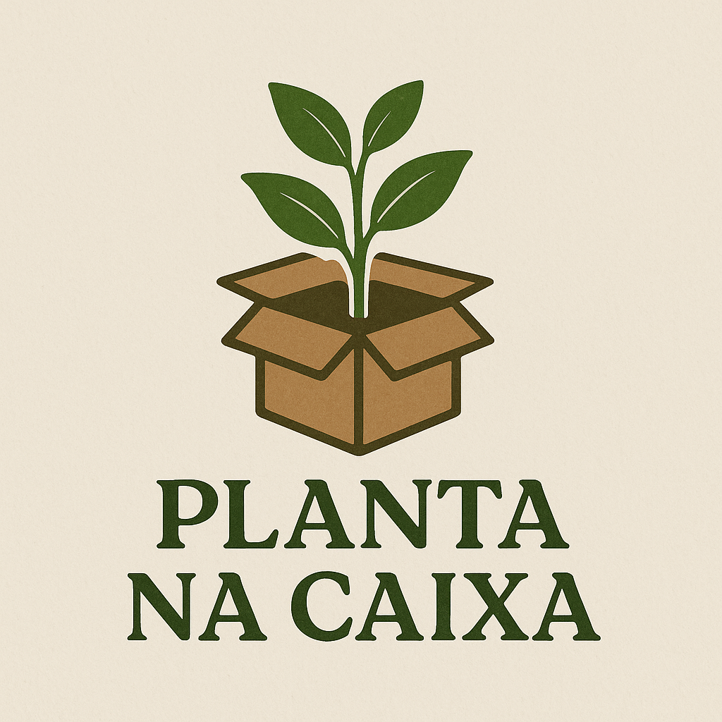 Planta na caixa