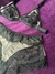 Conjunto Celetista na internet
