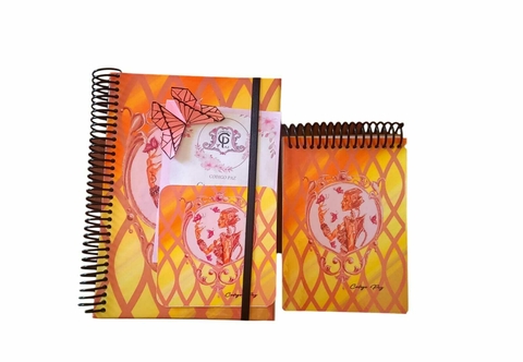 CUADERNO DESPROGRAMACION + LIBRETA - comprar online